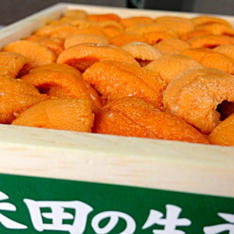 Sea Urchin (Uni) Bafun Uni, Murasaki Uni - bigfridgeboy