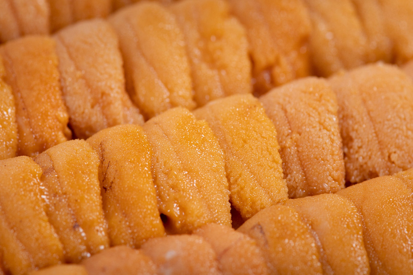 Gokujo Hokkaido Uni AAA 250g – Fresh from Hokkaido Japan