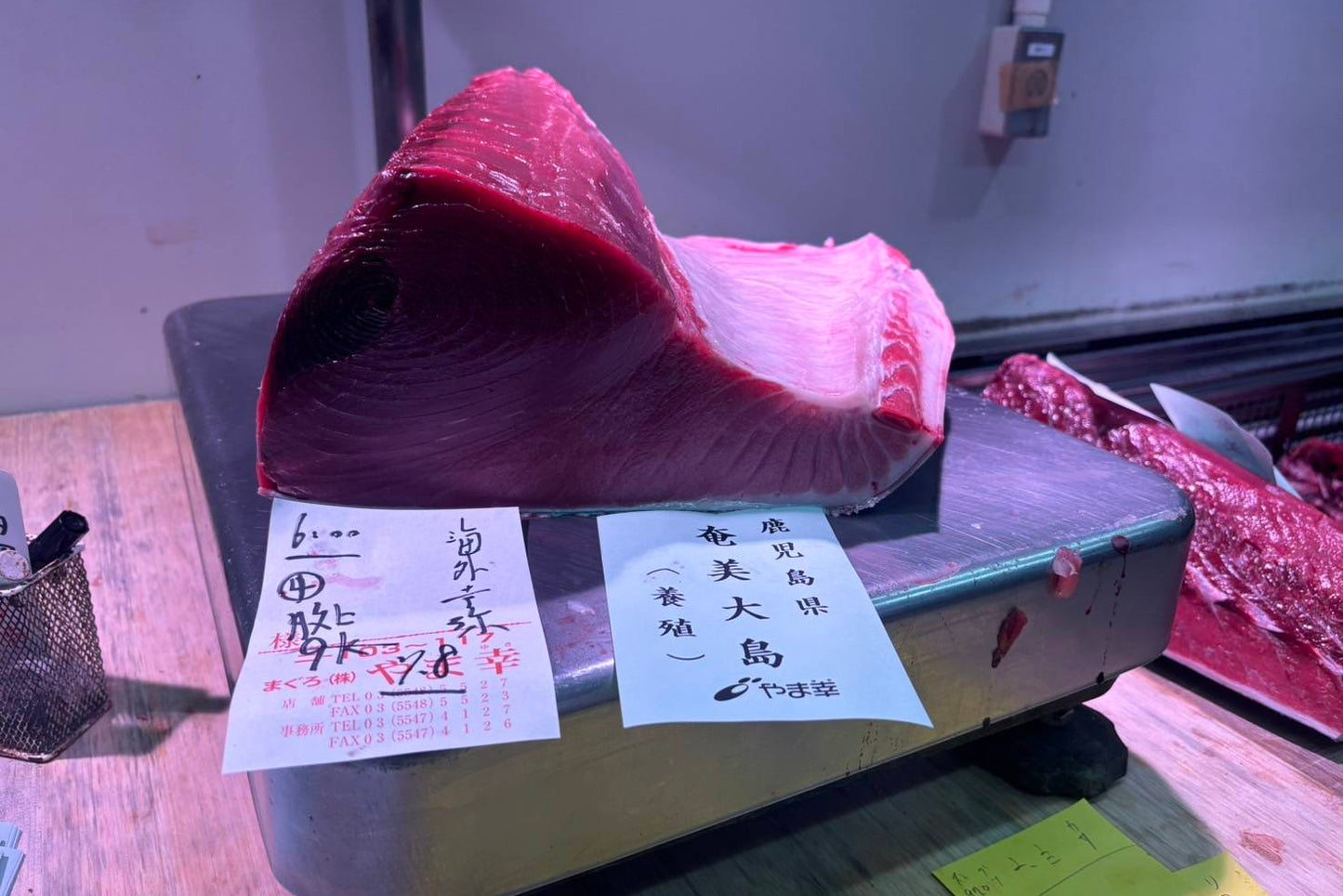 Yamayuki Bluefin Chu-Toro AAA 0.5lb
