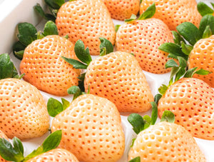White Japanese Strawberry "Awa Yuki" 淡雪 400g with GIFT Pack  - limited availability
