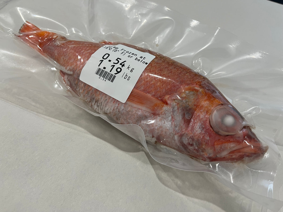 Akamutsu Nodoguro Frozen Japan 500g