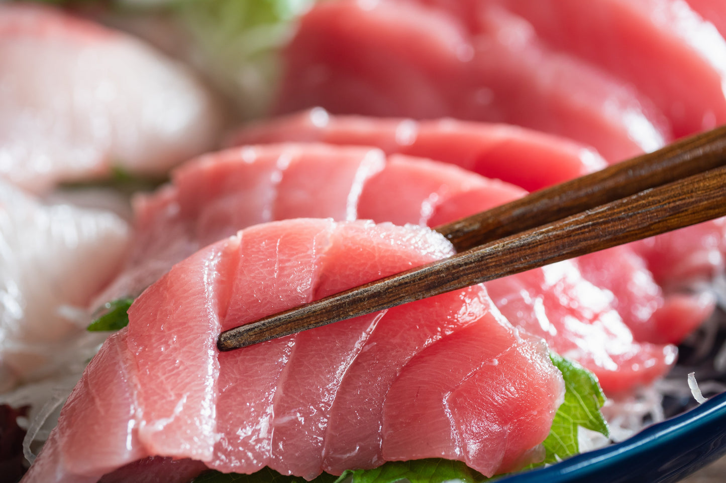Fresh Bluefin Tuna Chu-Toro 0.5lbs