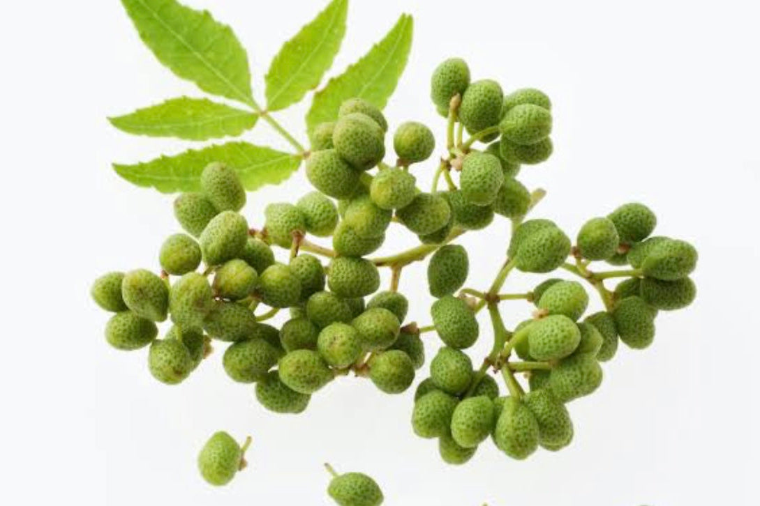 Dried Japanese Sansho Berries 300g