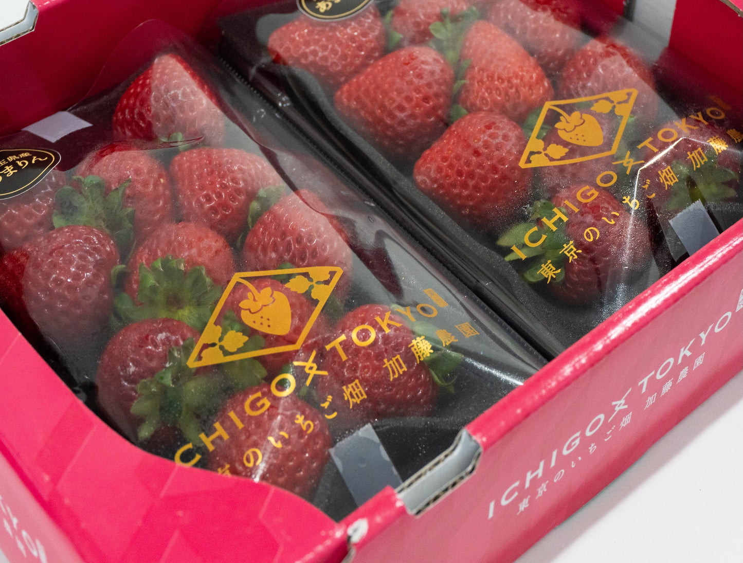 Japanese Strawberry Tochiotome Gift Pack 500g