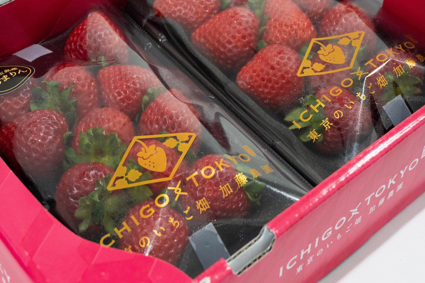 Japanese Strawberry Tochiotome Gift Pack 500g