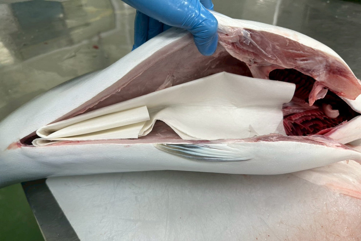Fresh Hamachi Fillet Japan 3.5lb