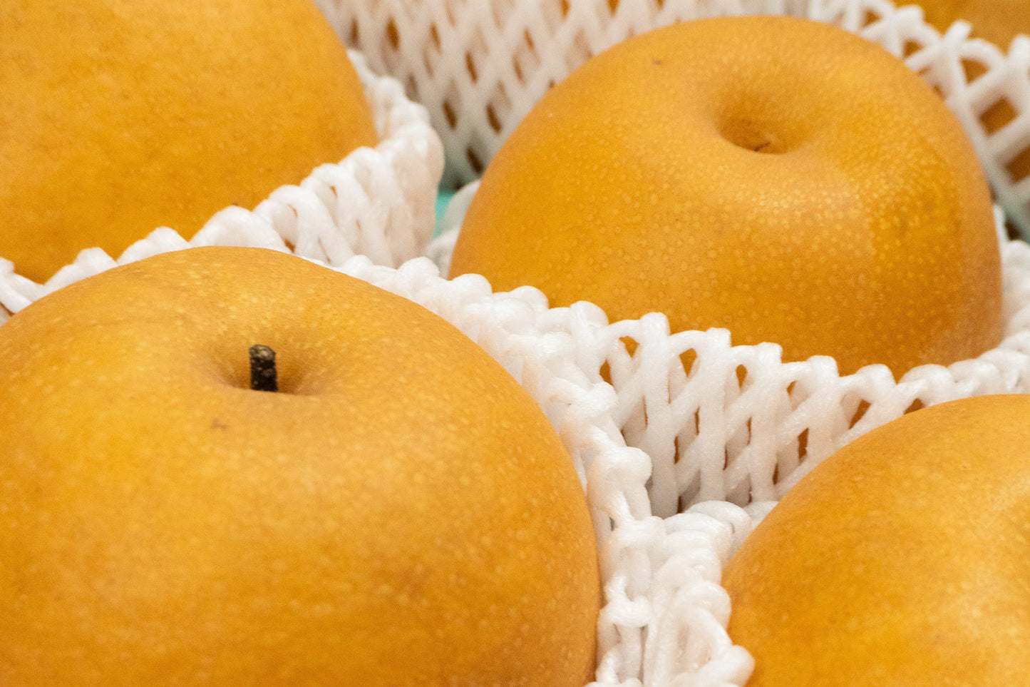 Japanese Pear Nan Sui 3pcs