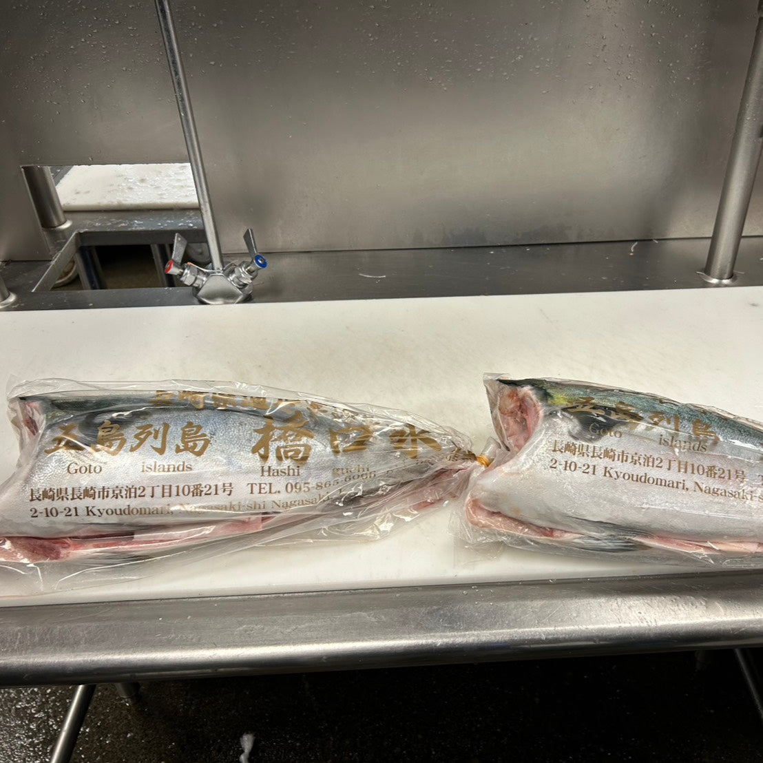 Hashiguchi AAA Hamachi G&G