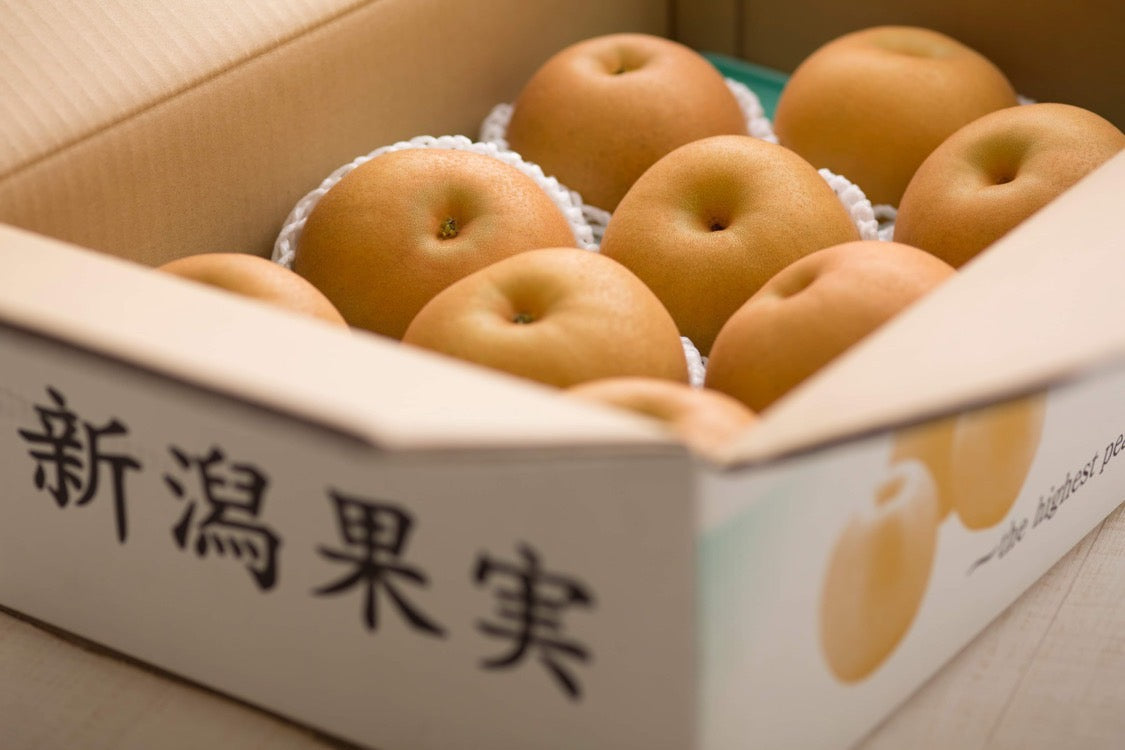 Japanese Pear "Aki Zuki" 3pcs