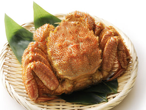 Hokkaido Kegani 毛蟹 (Horsehair Crab) 500g