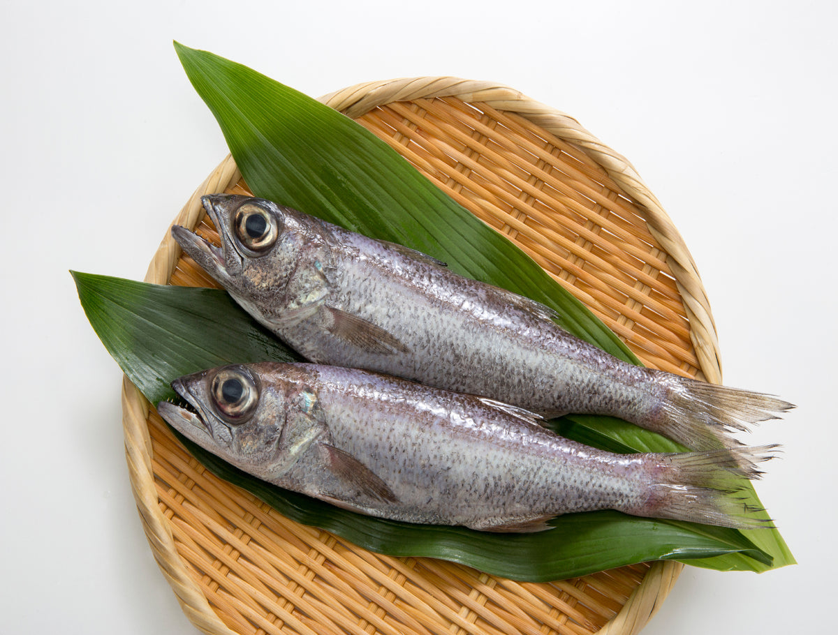 Some of our favorite seasonal fish right now! Kinmedai 金目鯛(Golden Eye  Snapper) Kuromutsu黒むつ(Japanese Bluefish) Nodoguroノドグロ(Rosy…