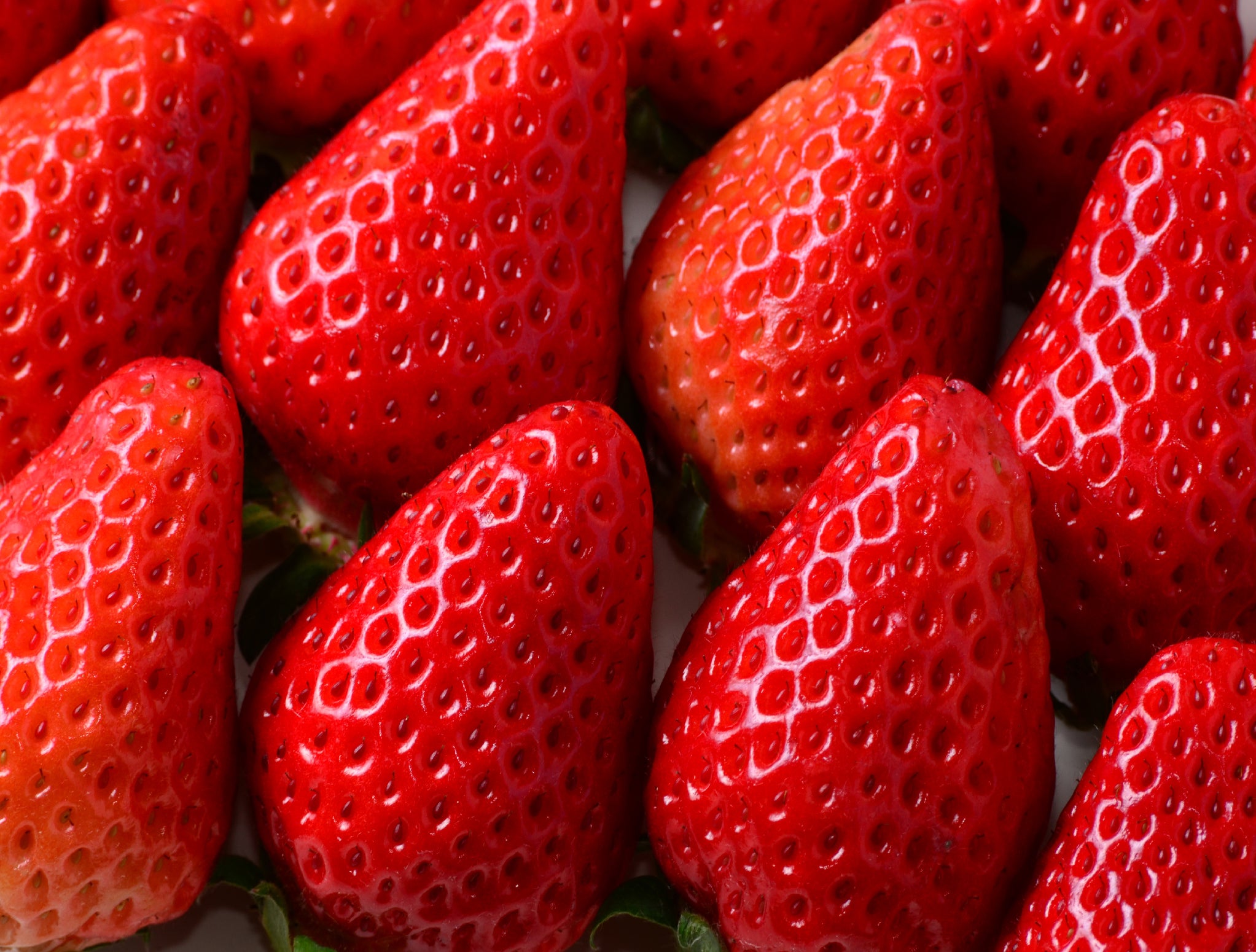 Japanese DELUXE Strawberry Large "Tochi Otome"  400g - limited availability