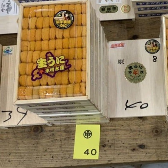 AAA Bafun Uni "Hamanaka" 250g - Farm Raised