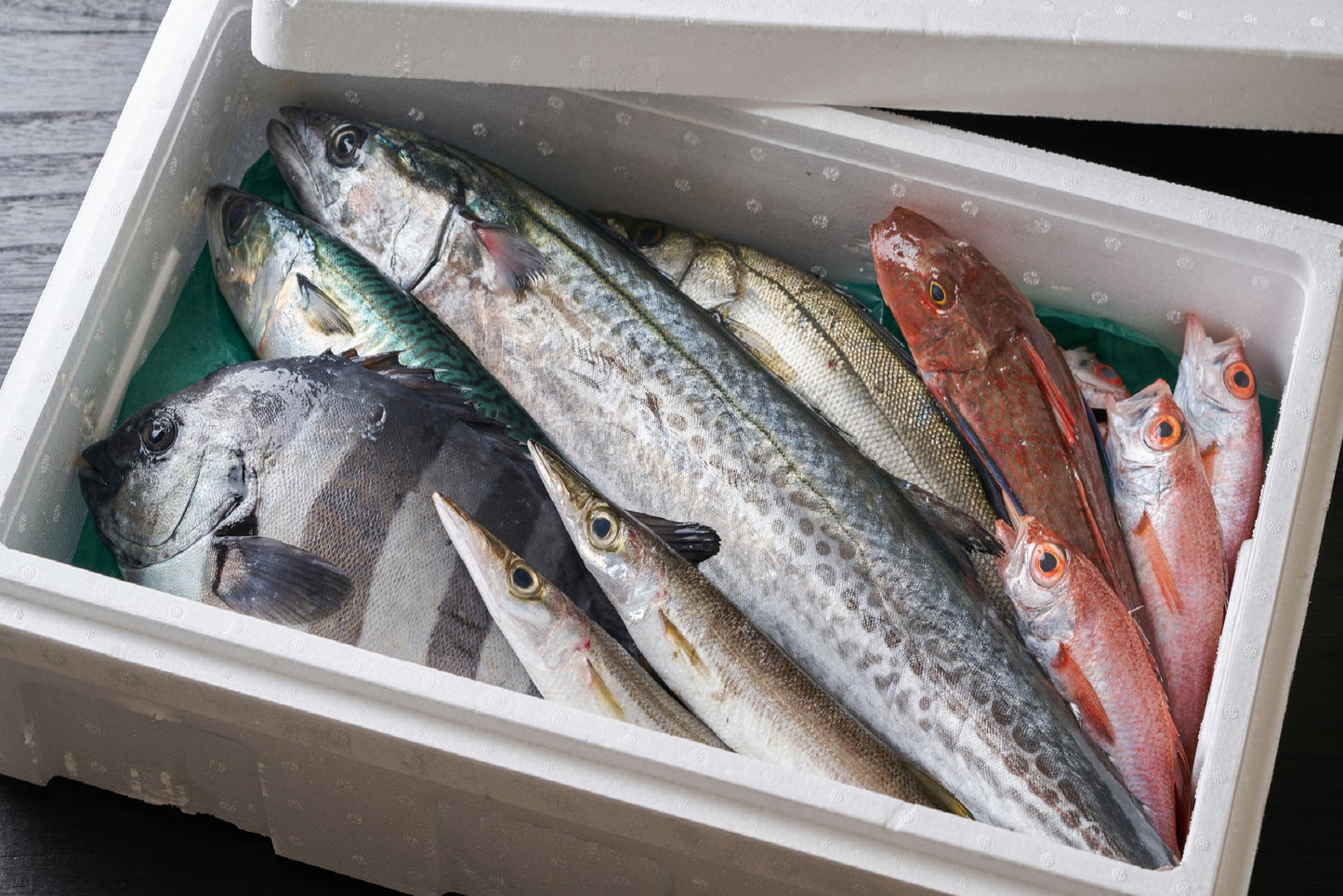 Omakase Hokkaido Fish Box