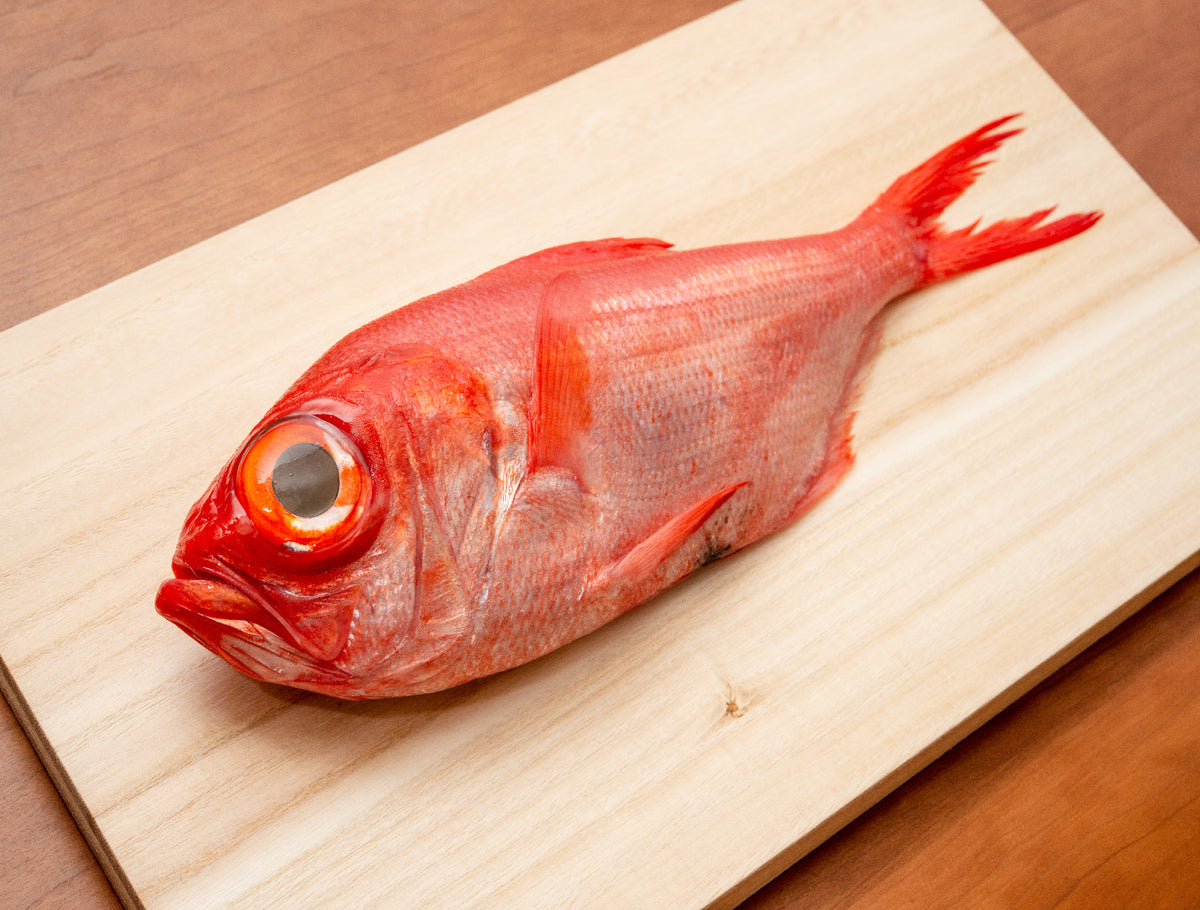 HINODE] JI-KINMEDAI FISH – TOP GRADE GOLDEN EYE RED SNAPPER – FRESH FROZEN  BY ULTRA-RAPID FREEZING