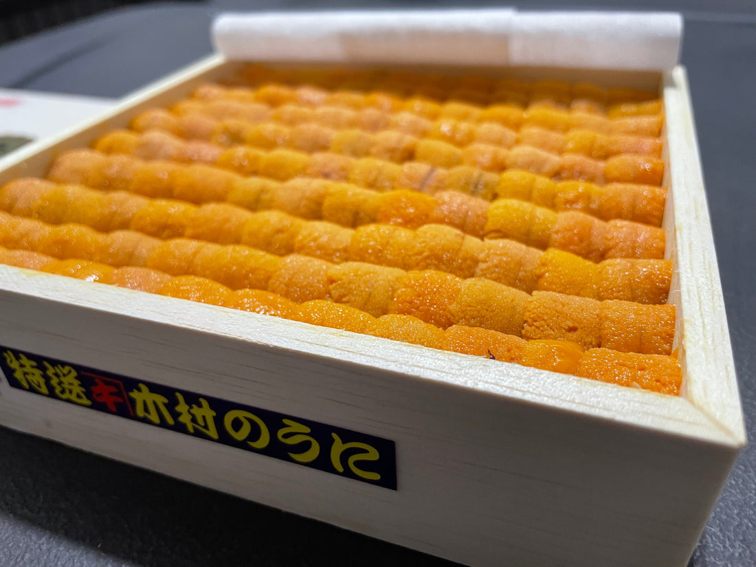 A Rare Sea Urchin That is Hard to Find, Even at Toyosu Where The World's Top Uni Gather