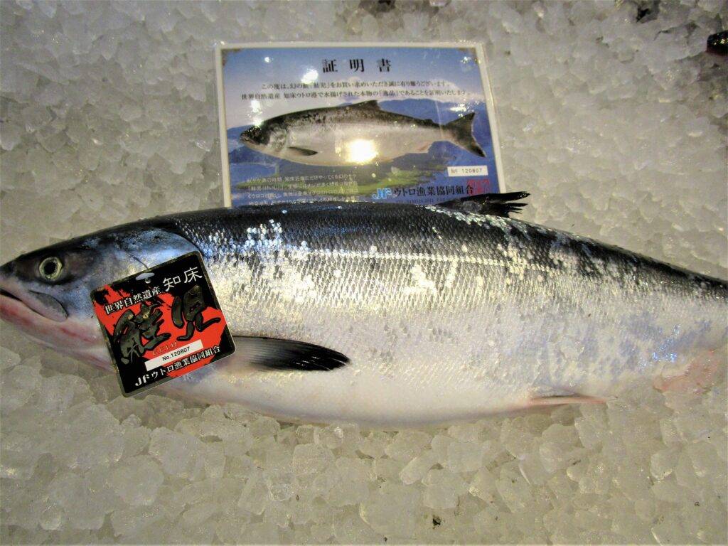 Keiji - The Phantom Salmon