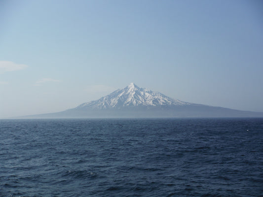 Rishiri Uni - "Jewel of the Ocean"