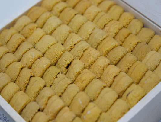 Discover the Magic of Hokkaido Uni