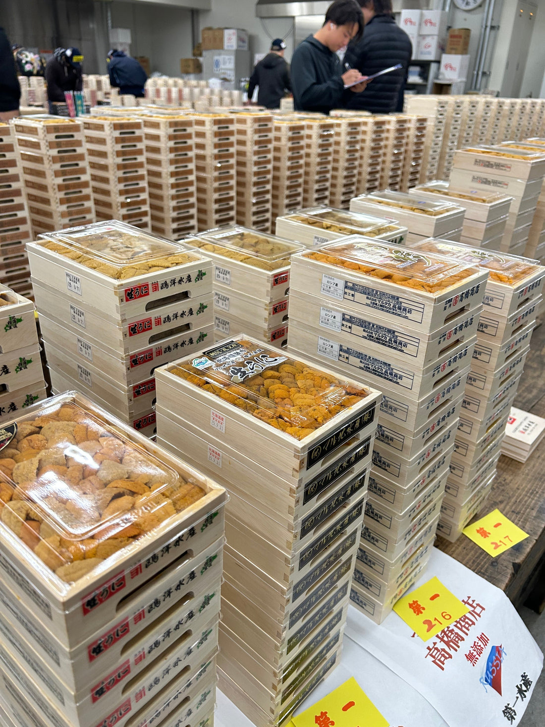 Anotgher day, Another Toyosu Market