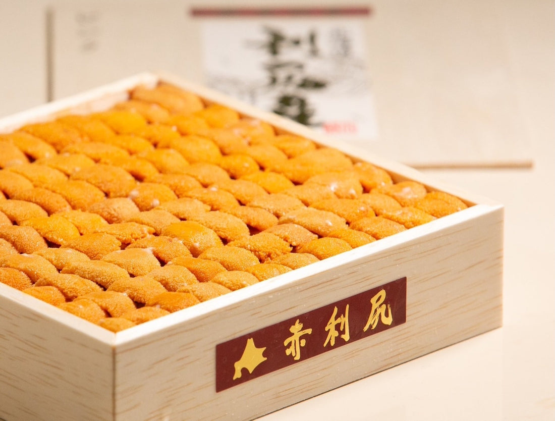 The Rishiri Uni Standard