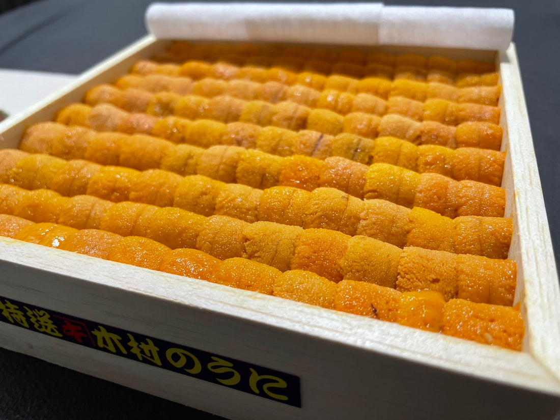 Hokkaido Uni situation in October and November