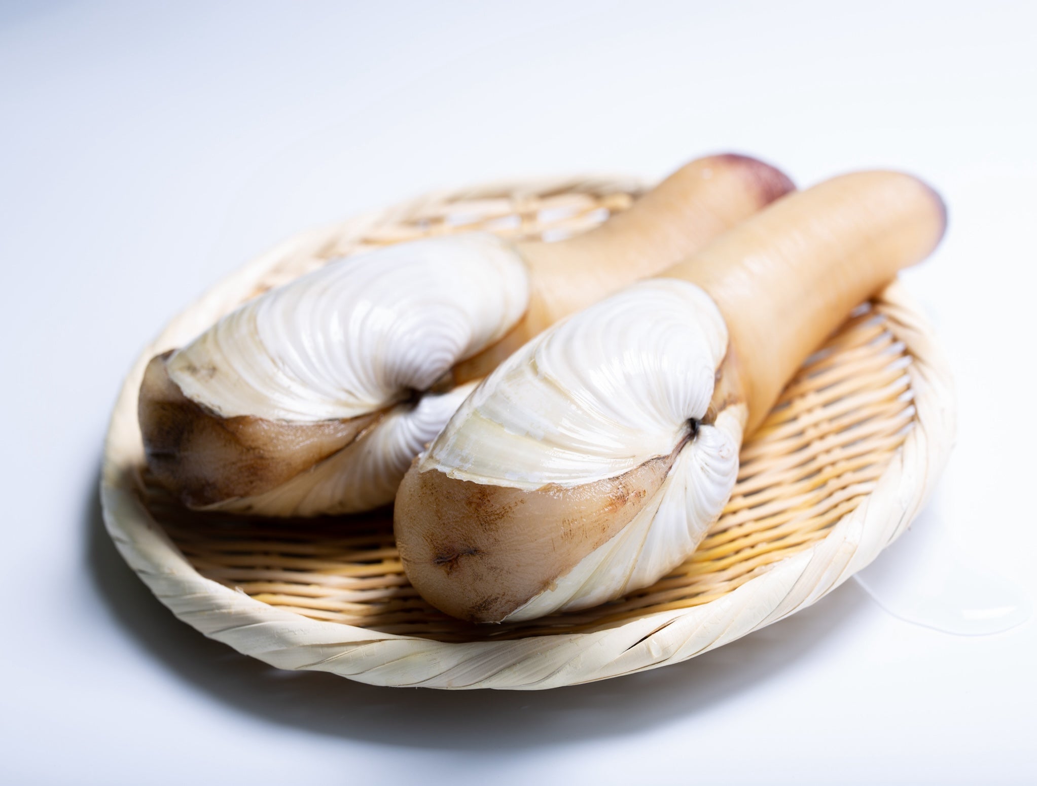 Hokkaido Shellfish – Hokkaido Uni Shop