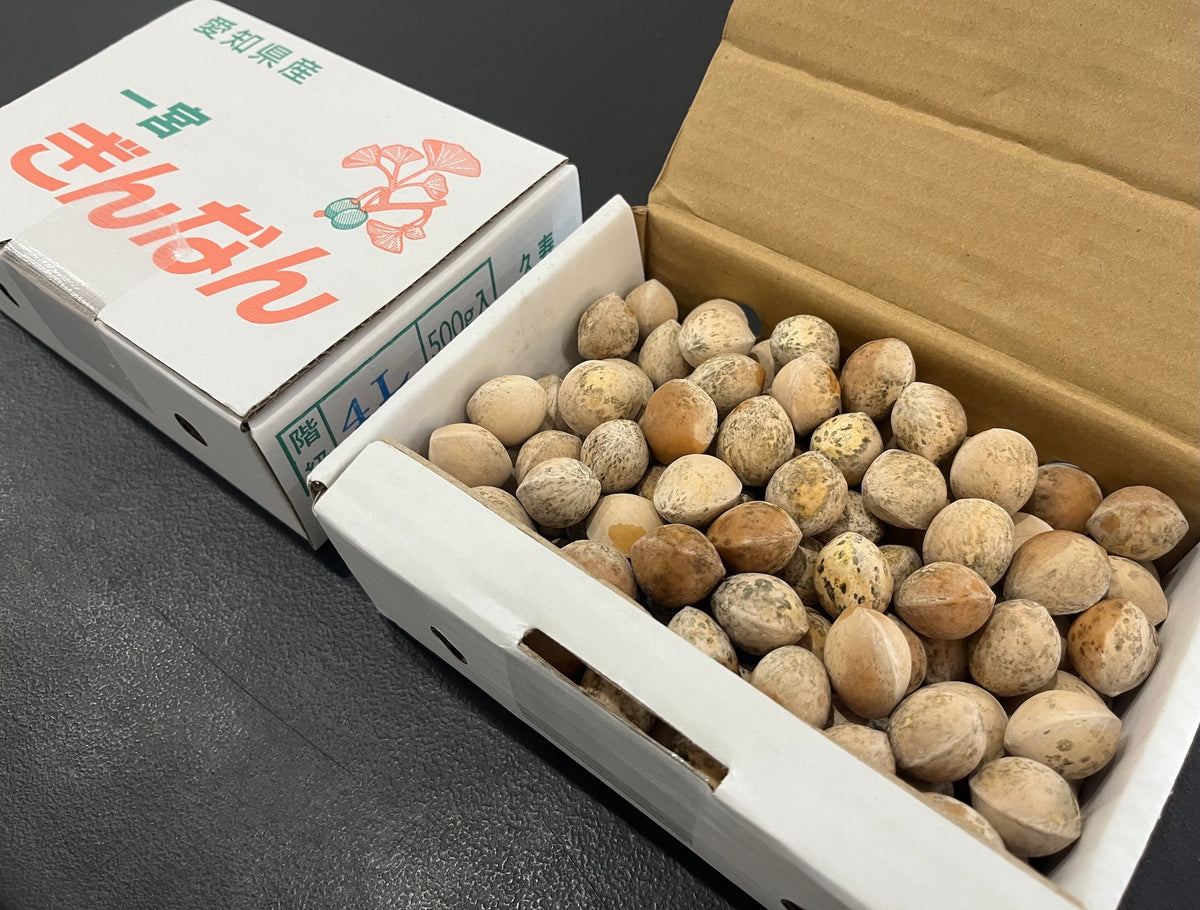 Sobue Ginnan Tokuro Ginkgo Nuts Aichi 500g