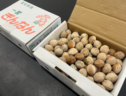 Sobue Ginnan Tokuro Ginkgo Nuts Aichi 500g