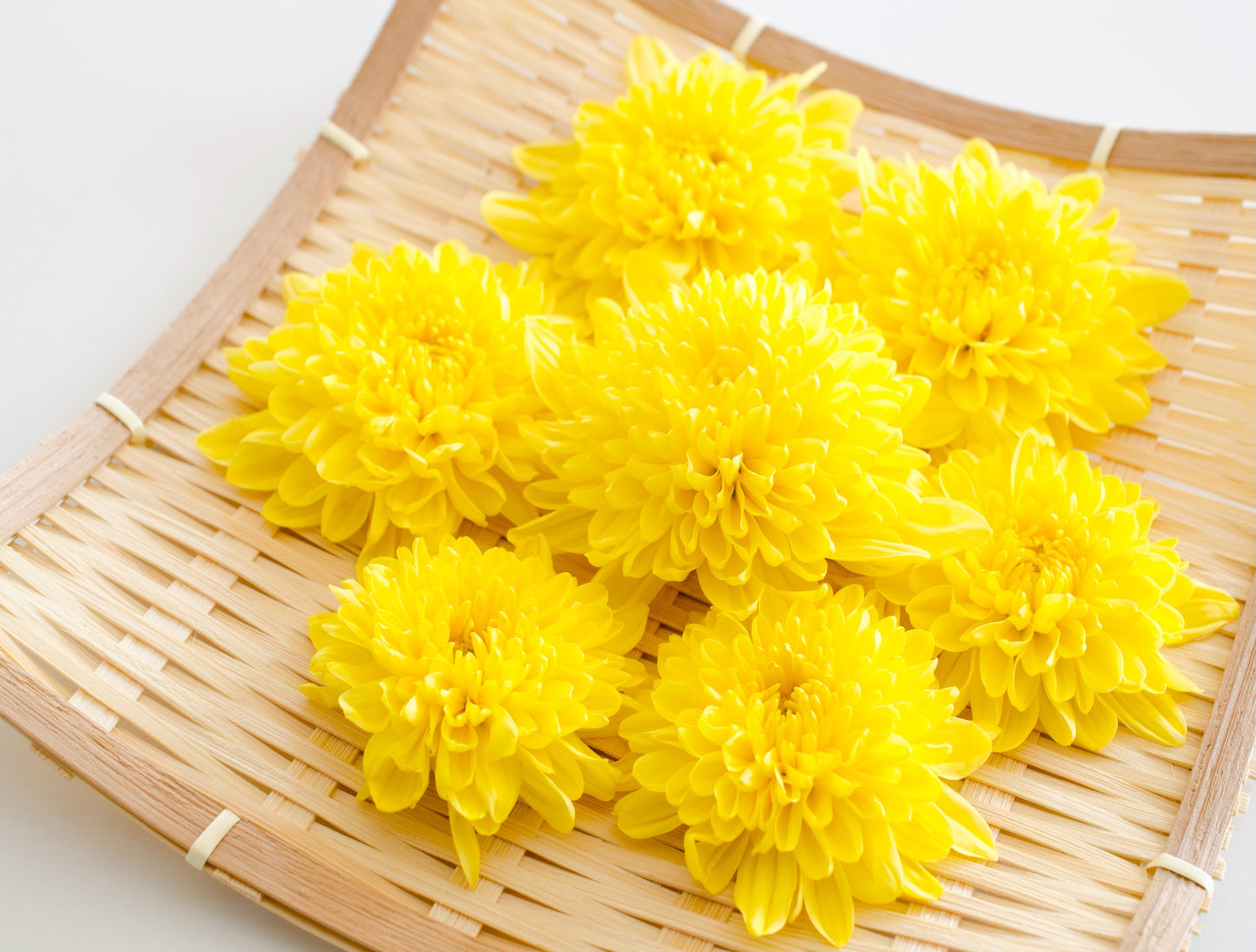 Hoshi Kiku Aomori Dried Edible Chrysanthemum