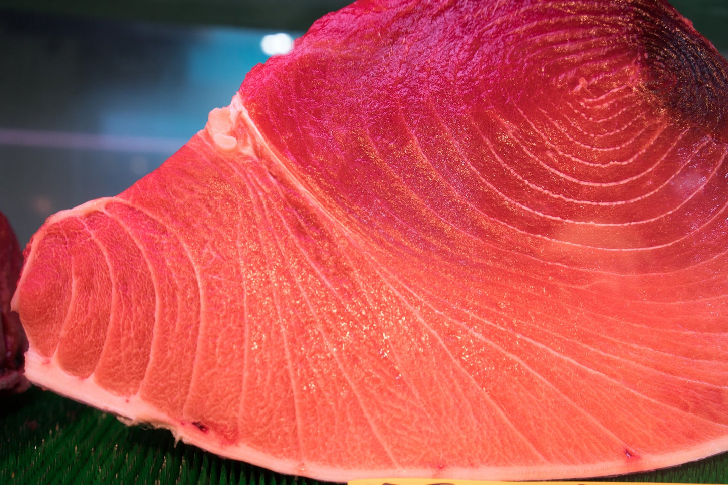 Bluefin Tuna Belly Block 20lb