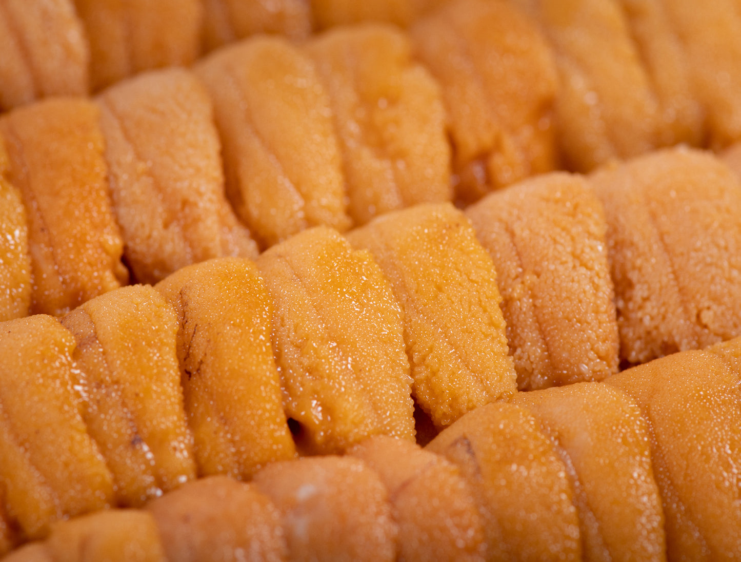 Gokujo Japanese Uni AAA 250g (極上)