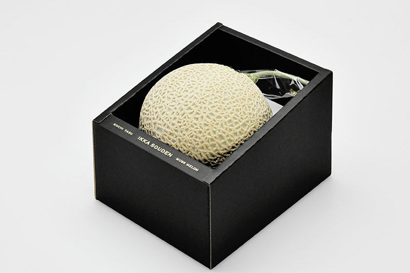 Ryoma Musk Melon Premium 1.6kg