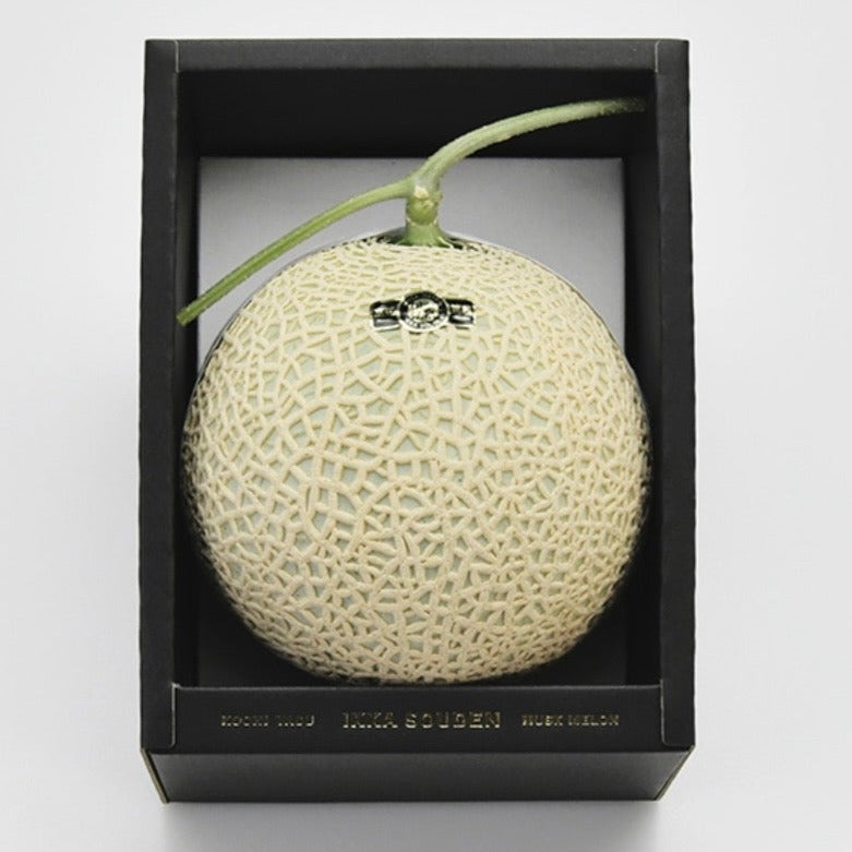 Premium Grade Japanese Musk Melon 竜馬 1.6kg