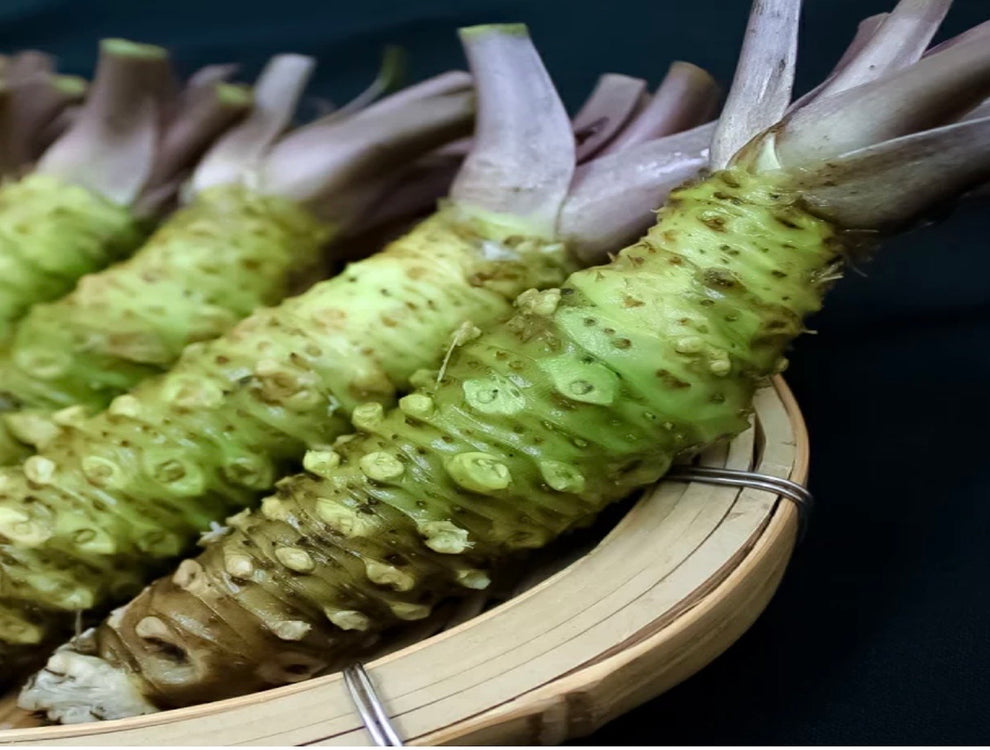 Ikadaba Hon Wasabi Root AAA | Fresh Japanese Wasabi Japan – Hokkaido ...