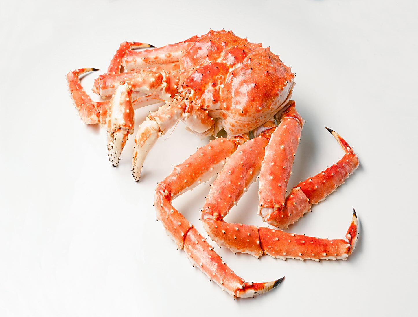 Fresh King Crab Whole 8lbs