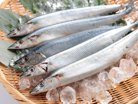 Sanma 2pcs