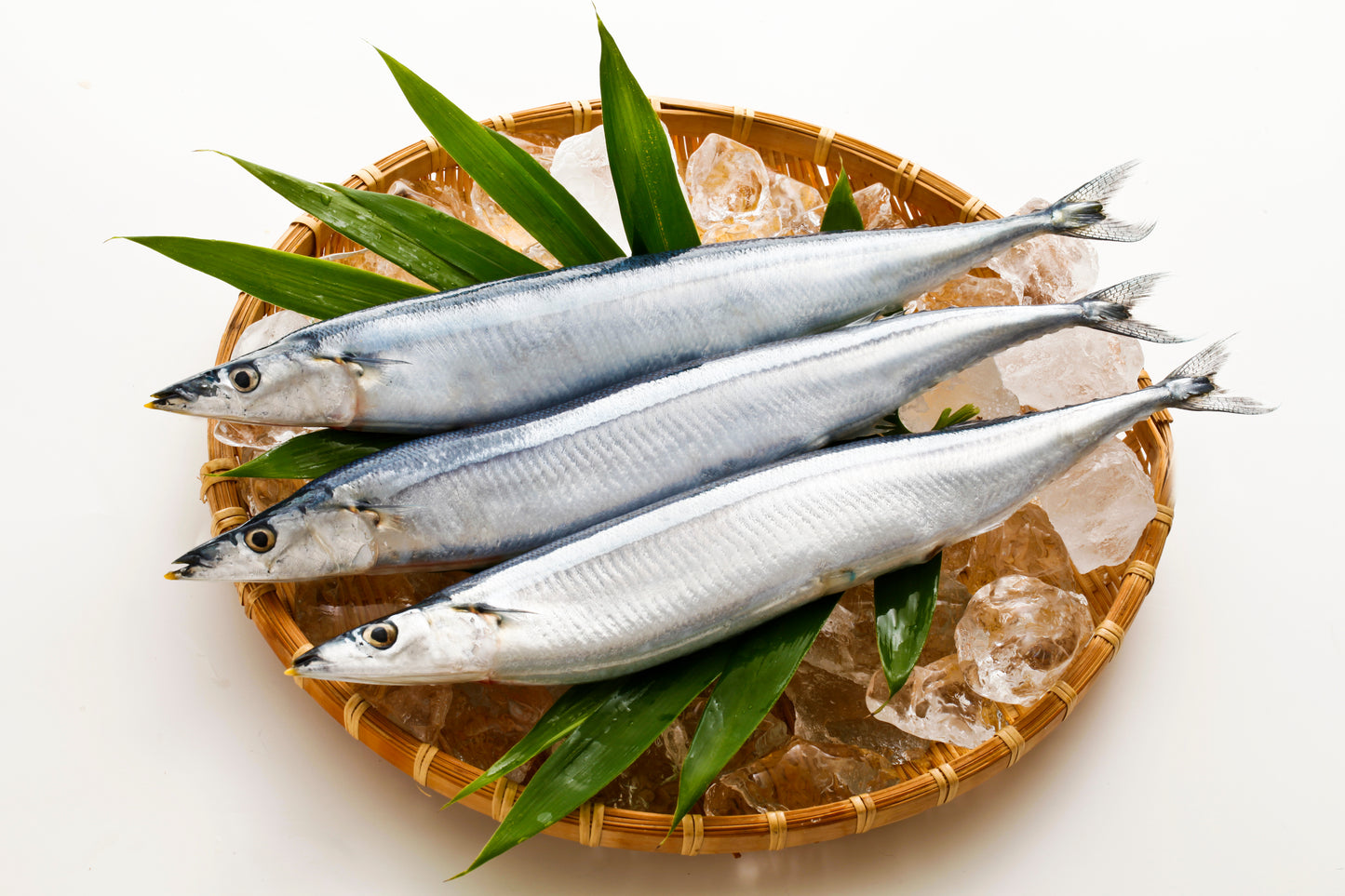 Sanma 2pcs