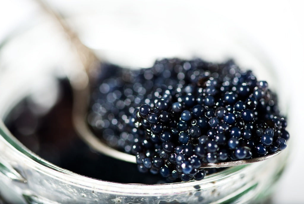 Platinum Osetra Caviar 4oz