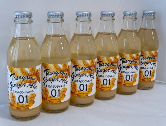 Tosa Yama Ginger Ale Spicy Kochi 6-Pack