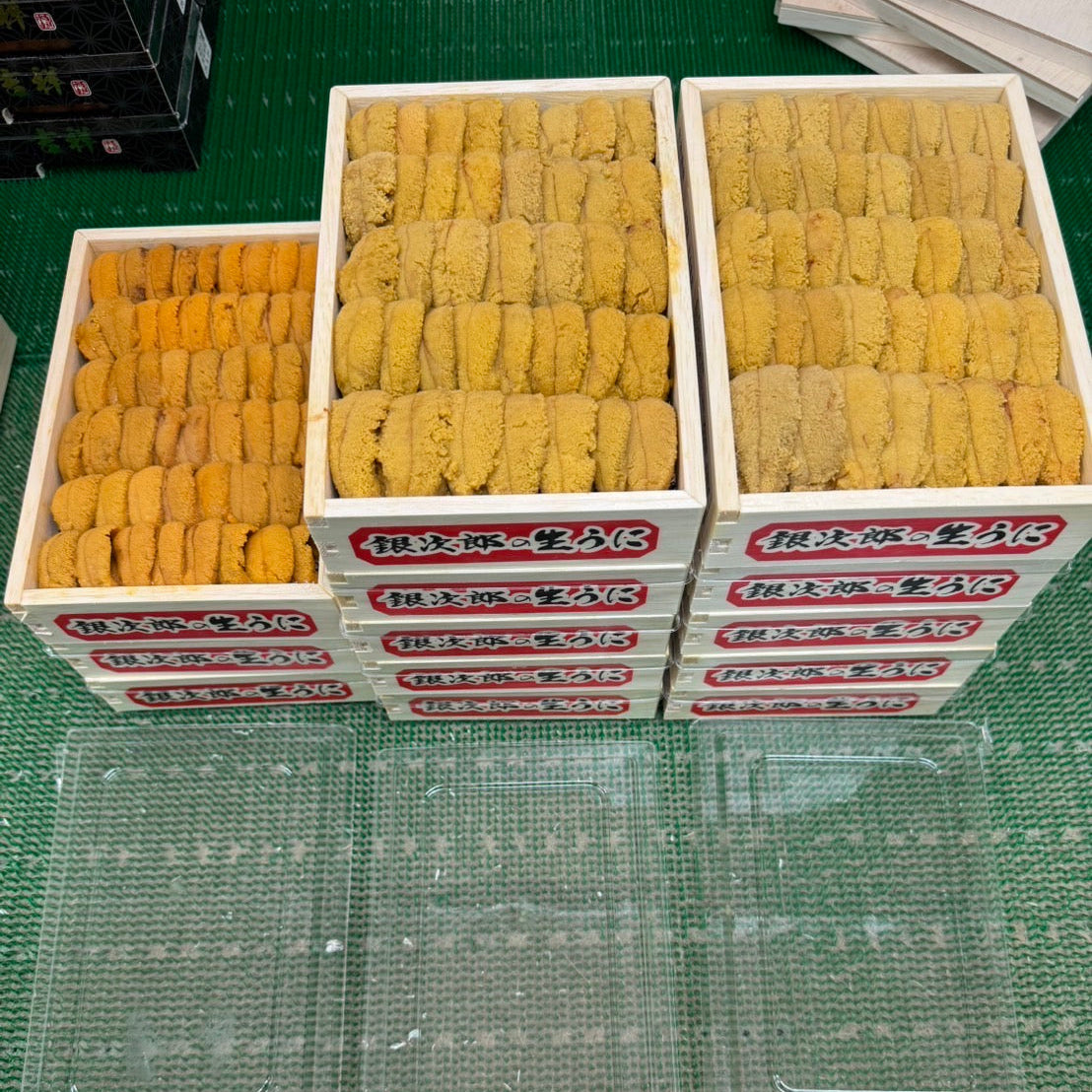 Rebun Murasaki Uni AA 250g