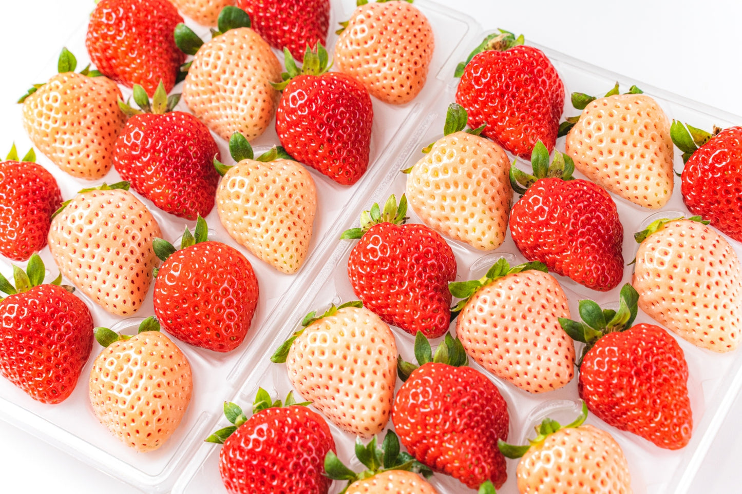 Strawberry Mix Collection 400g