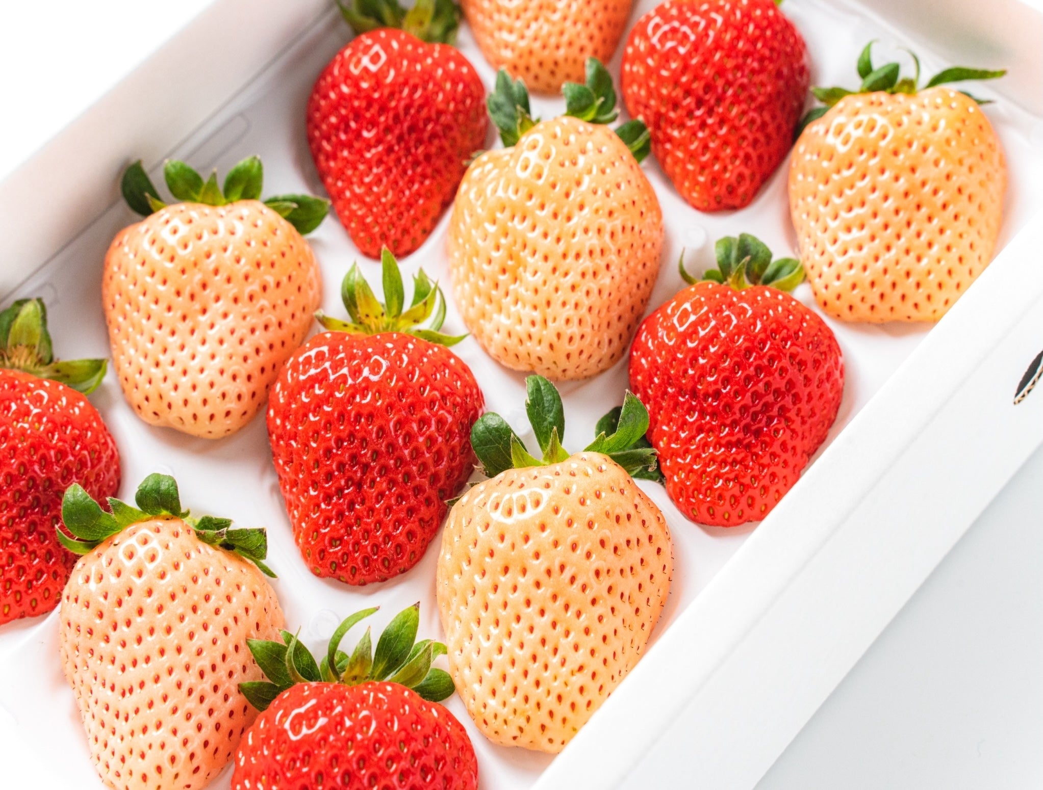 Strawberry Mix Collection 400g – Hokkaido Uni Shop