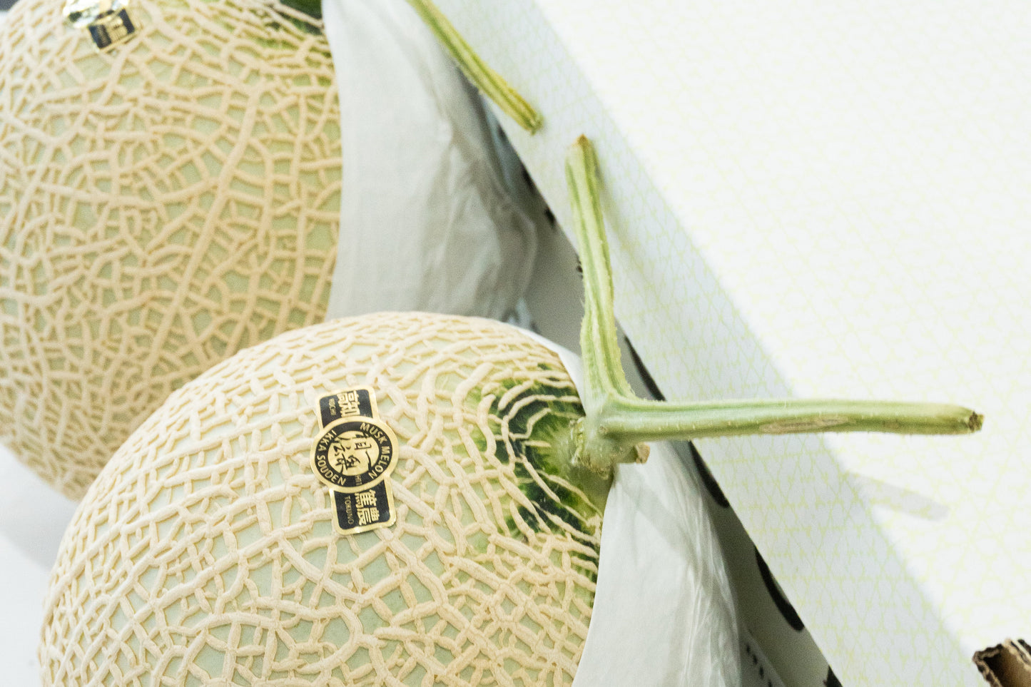 Premium Musk Japanese Melon TOSA 土佐 1.4kg