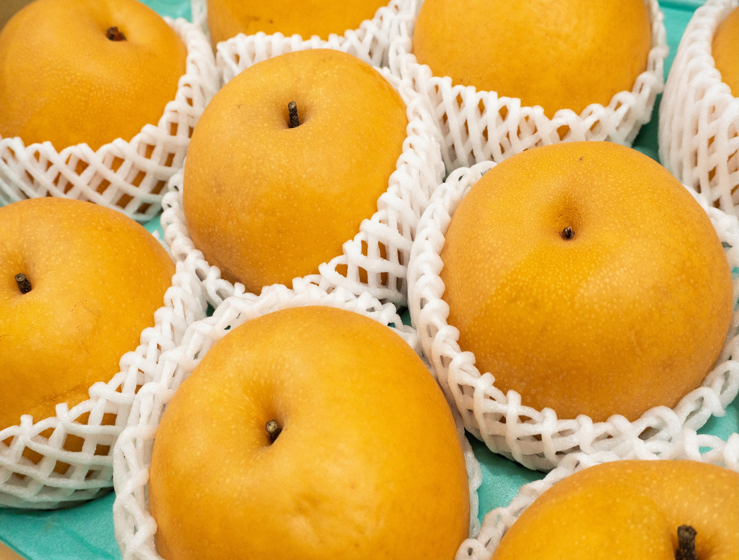 Japanese Pear Nan Sui 3pcs