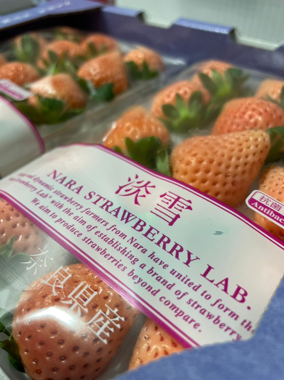White Japanese Strawberry "Awa Yuki" 淡雪 270g with - limited availability