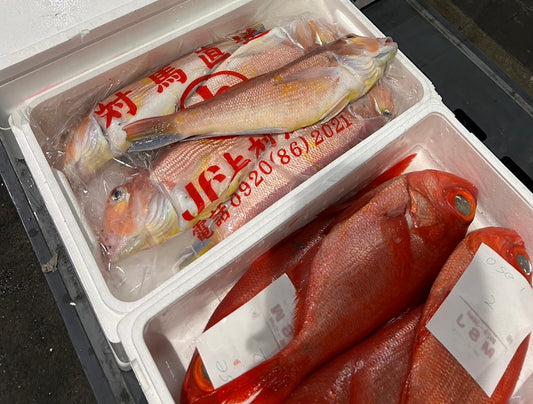 Popular Red Fish Assortment Set