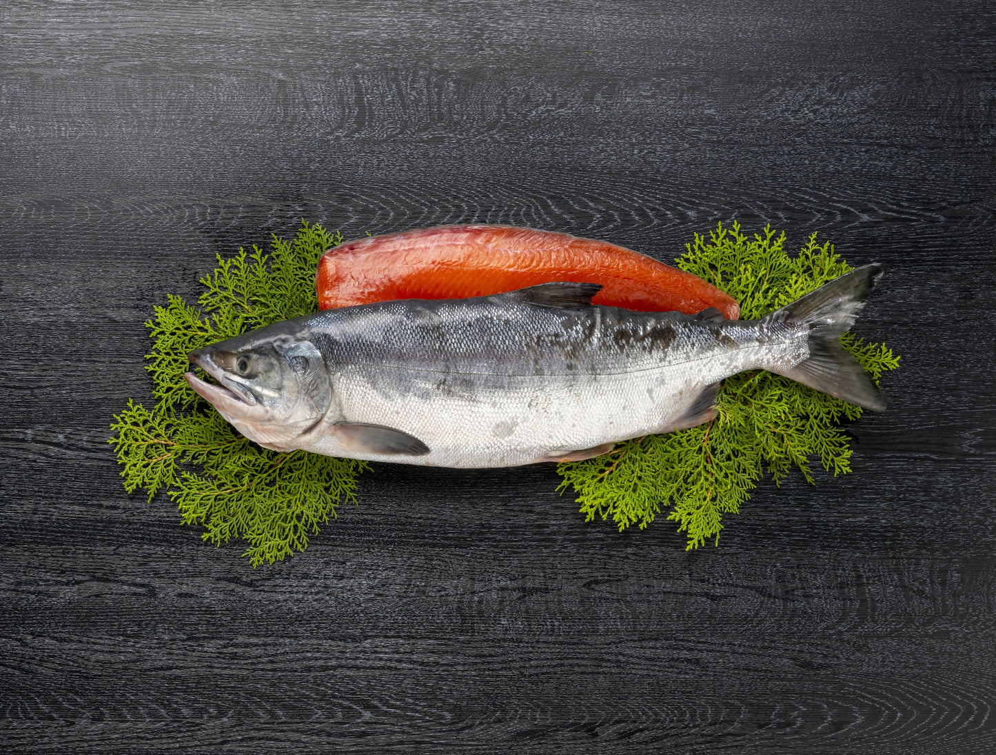 Aki Sake Chum Salmon Hokkaido 10lbs