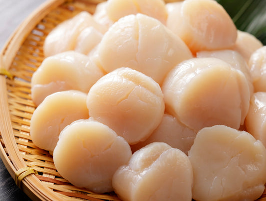 Hokkaido Hotate (Sashimi Quality) 1kg