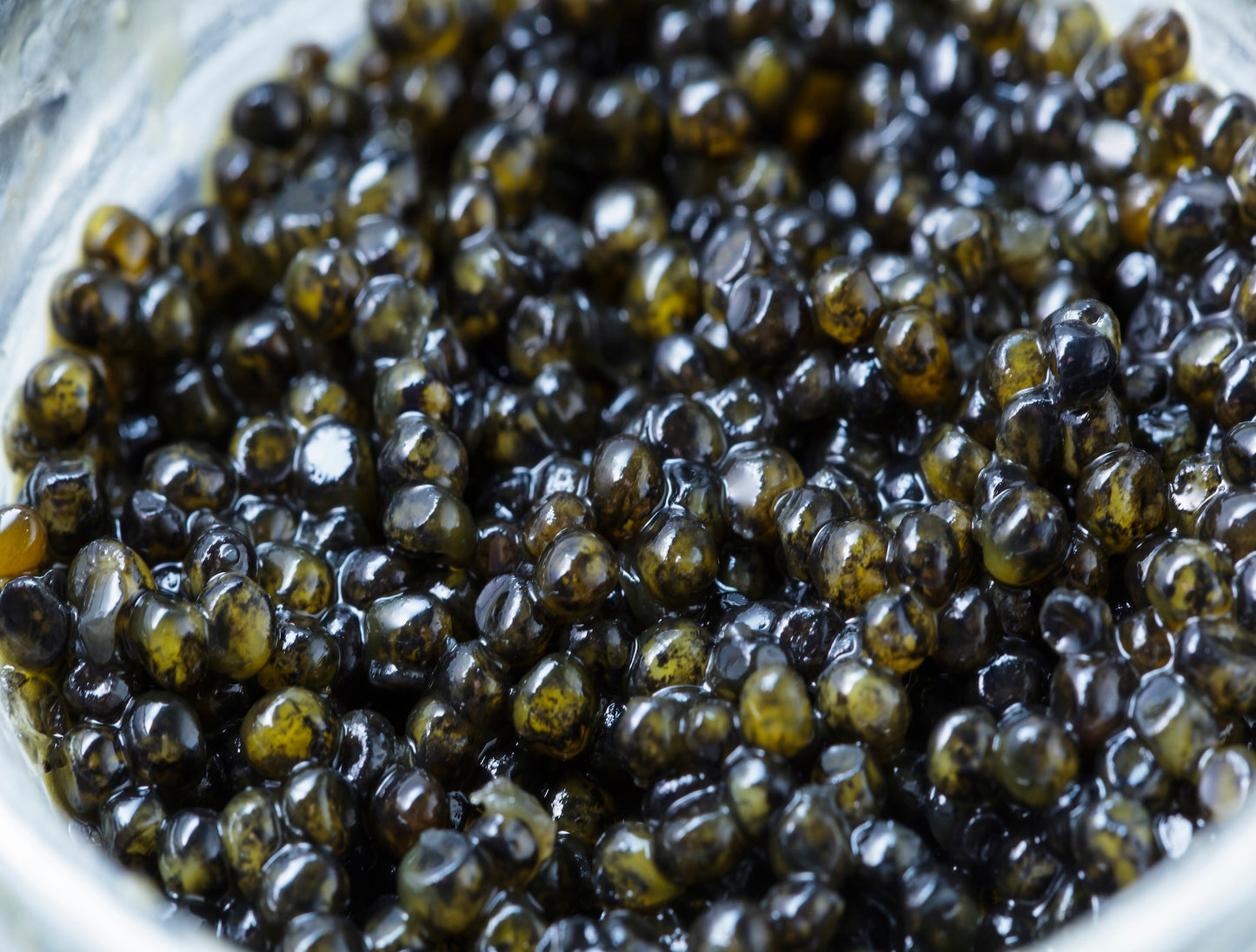 Platinum Osetra Caviar 4oz